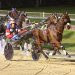 Stars shine at Addington