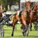 Hades de L’Iton wins Prix V and B at Craon