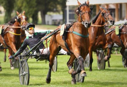 Hades de L’Iton wins Prix V and B at Craon 1
