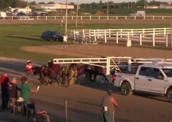 OHHA to Live Stream from Hardin County Fair on September 3-4