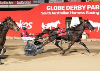 Hasty Bid runs them ragged in 4 and 5YO Classic at Globe Derby