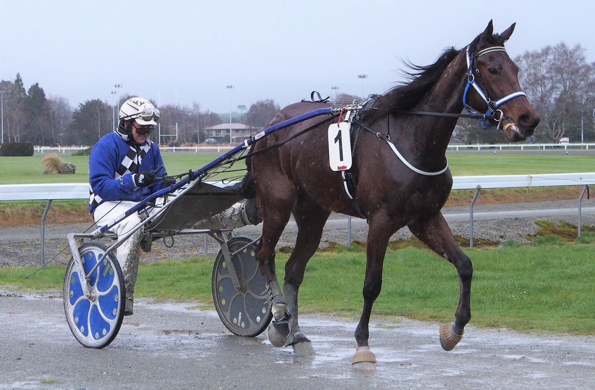 Which Williamson will win “The Gift”? 5