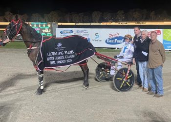 Durable, tough and still winning: the wonderful Wingates