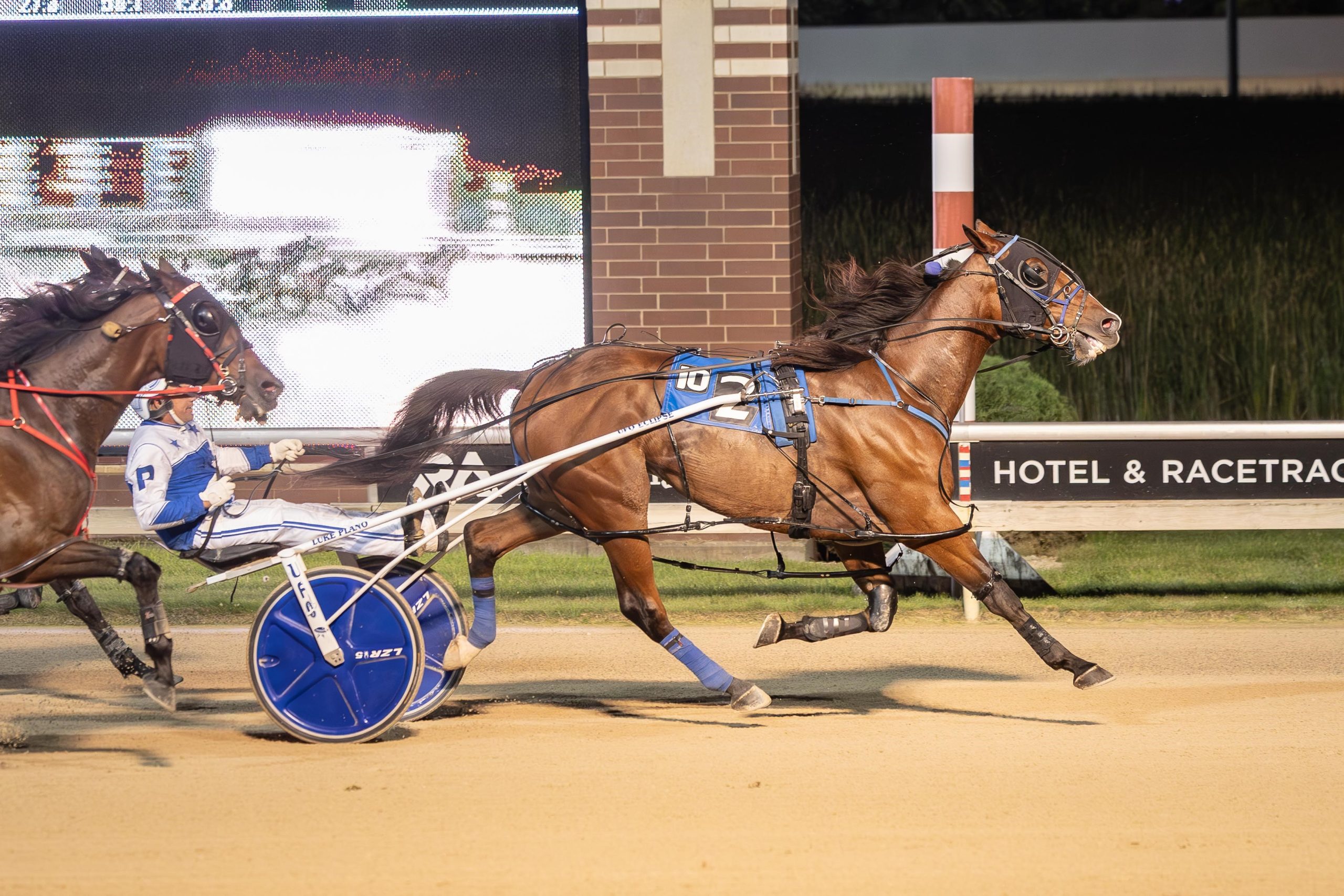 Peanutbutterflacon sets state earnings record with 10th straight win 3