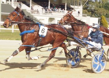 Track records smashed at Oamaru