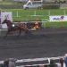 Indy de Jyr takes Grand National du Trot Leg 9 2 Indy de Jyr takes Grand National du Trot Leg 9