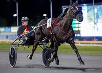 Frampton hoping to double up tonight