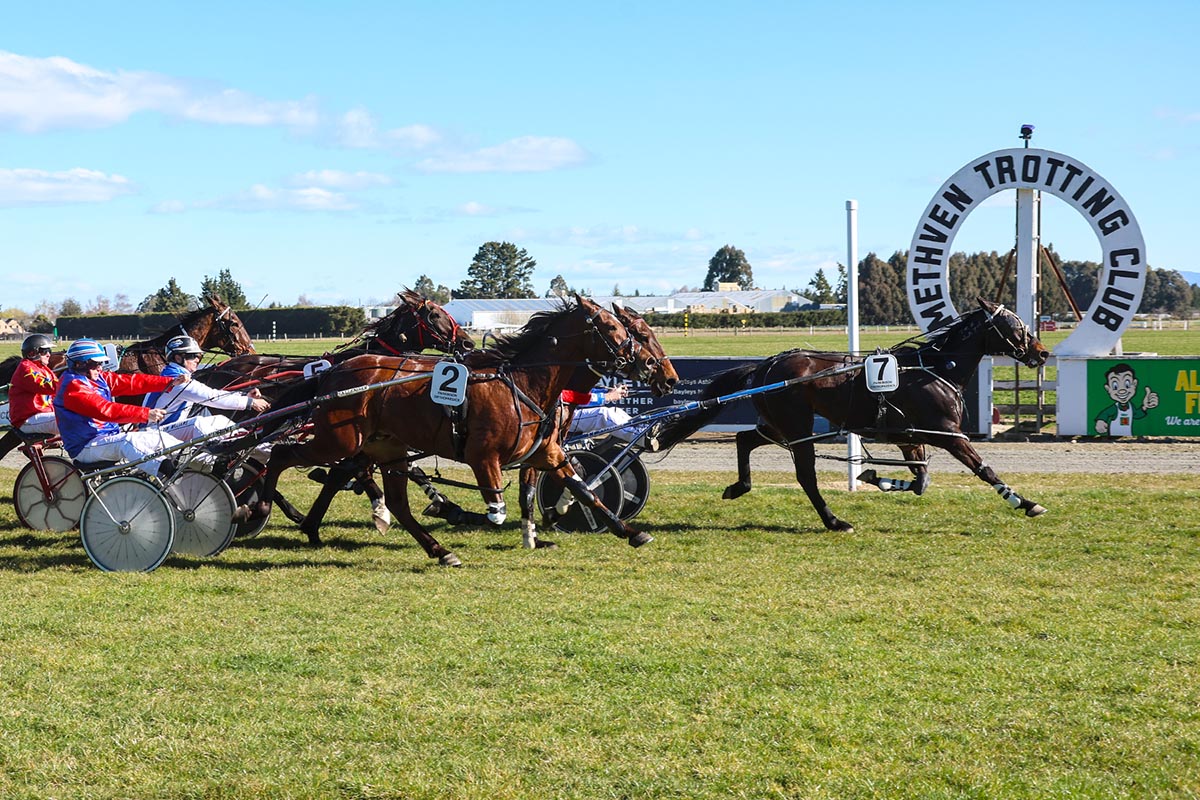 Jake the comeback kid 2