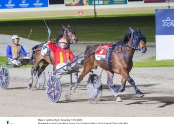 Jilliby Aura looks set for a future following Nutrien 2YO trotters success
