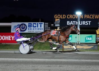 Jungle Dragon slays them