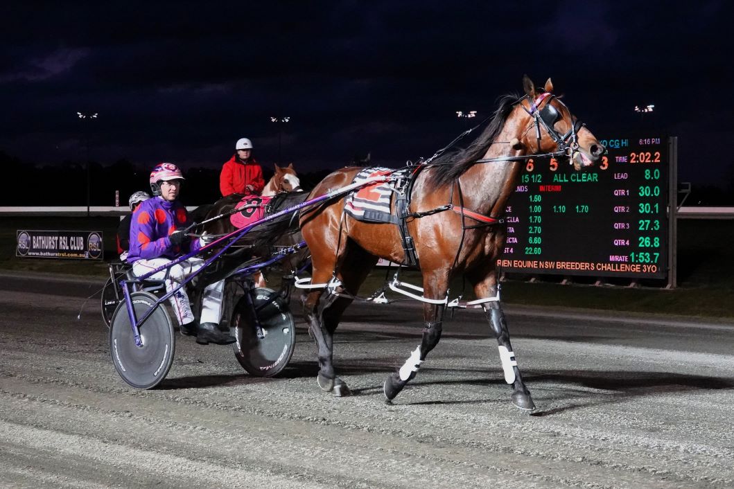 Jungle Dragon slays them 2