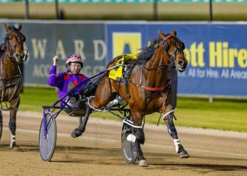 Jungle Dragon burns them off in Breeders Challenge