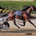 Stakes records fall in Delaware Sunday Action 1