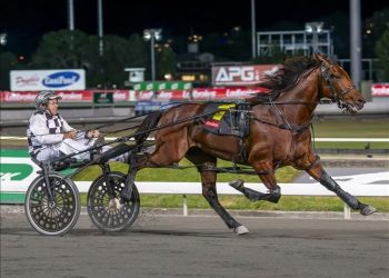 Purdon and Williamson ponder Cup time