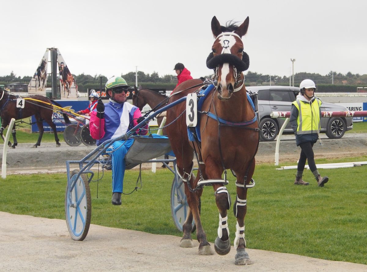 It was close, but hot favourite gets the win 2