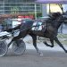 Trotting stars line up on Tuesday