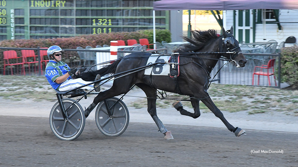 Trotting stars line up on Tuesday 1