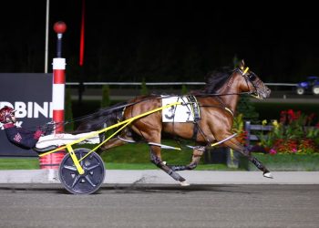 Loua Dipa delivers in $470,000  Shes A Great Lady