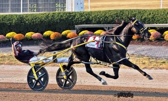 Jug, Jugette winners “Meet and greet” 1