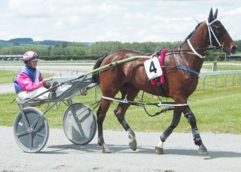 Tony’s trio for Ascot Park