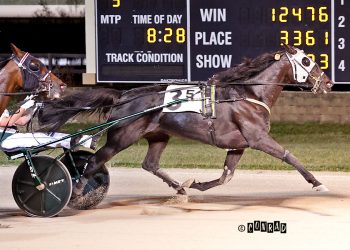 Track record to Twin B Joe Fresh in $250,000 Dayton Distaff Derby