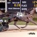 Track record to Twin B Joe Fresh in $250,000 Dayton Distaff Derby
