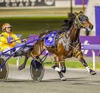 Magnificent Storm strikes in battle of the State’s best