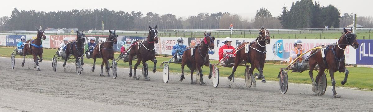 Black drives first winner in years but Don’t Tell Arty! 1