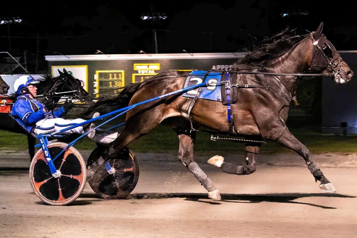 Makes Me Charlie, Lyons Surfing star on Saturday 1