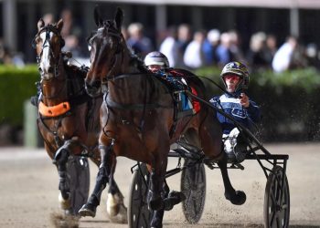 Lather Up filly cleans up older rivals