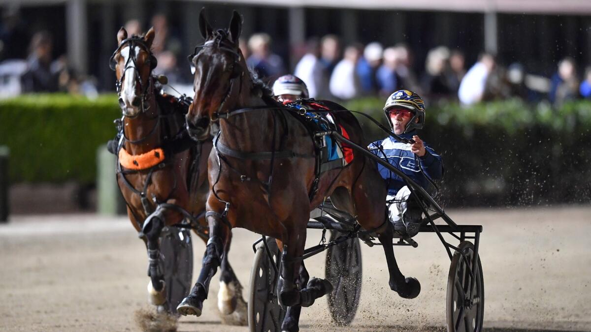 Lather Up filly cleans up older rivals 1