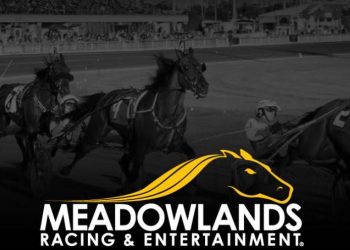 Meadowlands