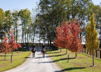 New Vocations hosting tours at Mereworth Farm