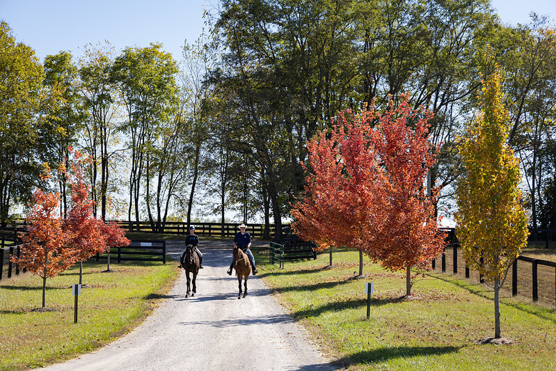 New Vocations hosting tours at Mereworth Farm 1