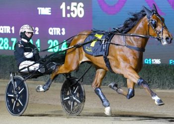 Miss Ohana and Tracy The Jet shine in Nutrien Heats at Bendigo