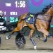 Miss Ohana and Tracy The Jet shine in Nutrien Heats at Bendigo