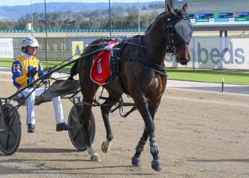 My General Lee progeny continue to impress