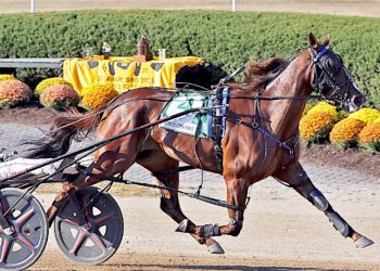 Rodeo Drive Deo, Odds On Chesapeake win Jugette elims