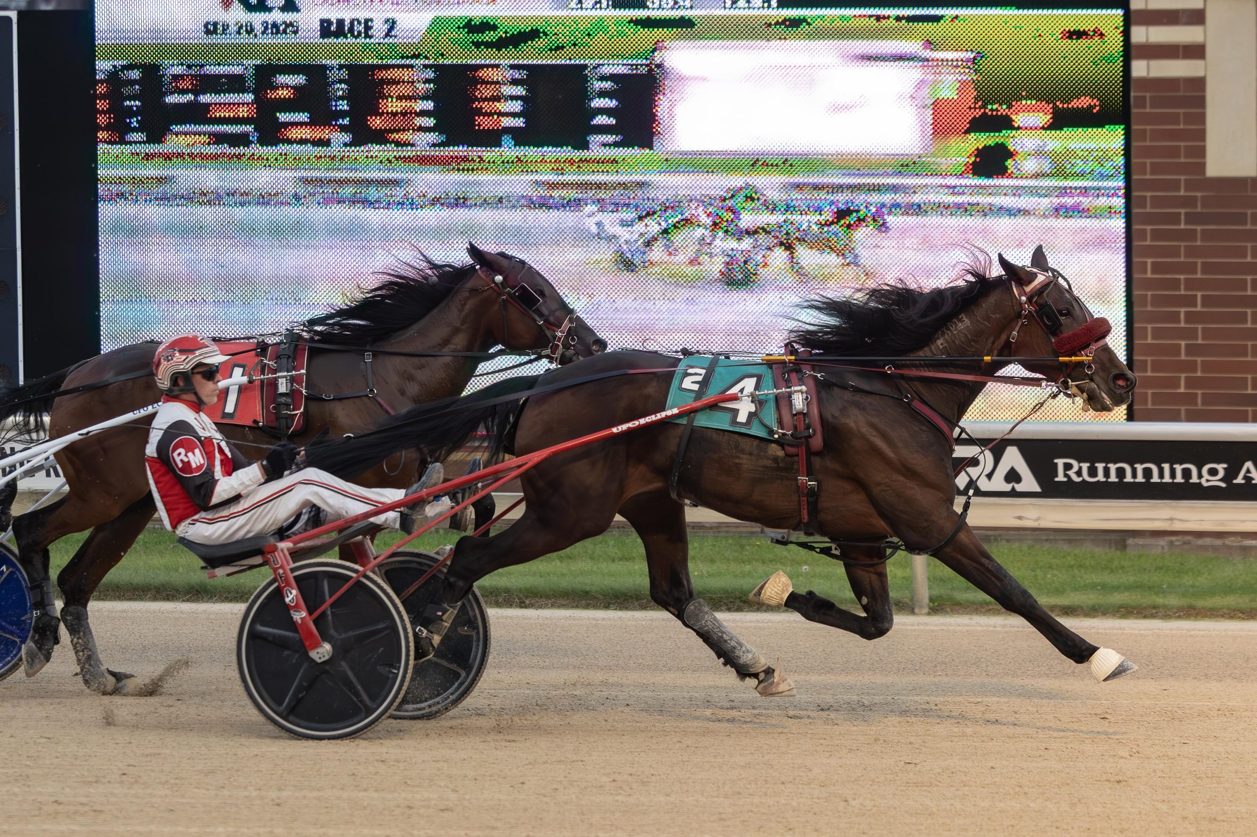 Peanutbutterflacon sets state earnings record with 10th straight win 1