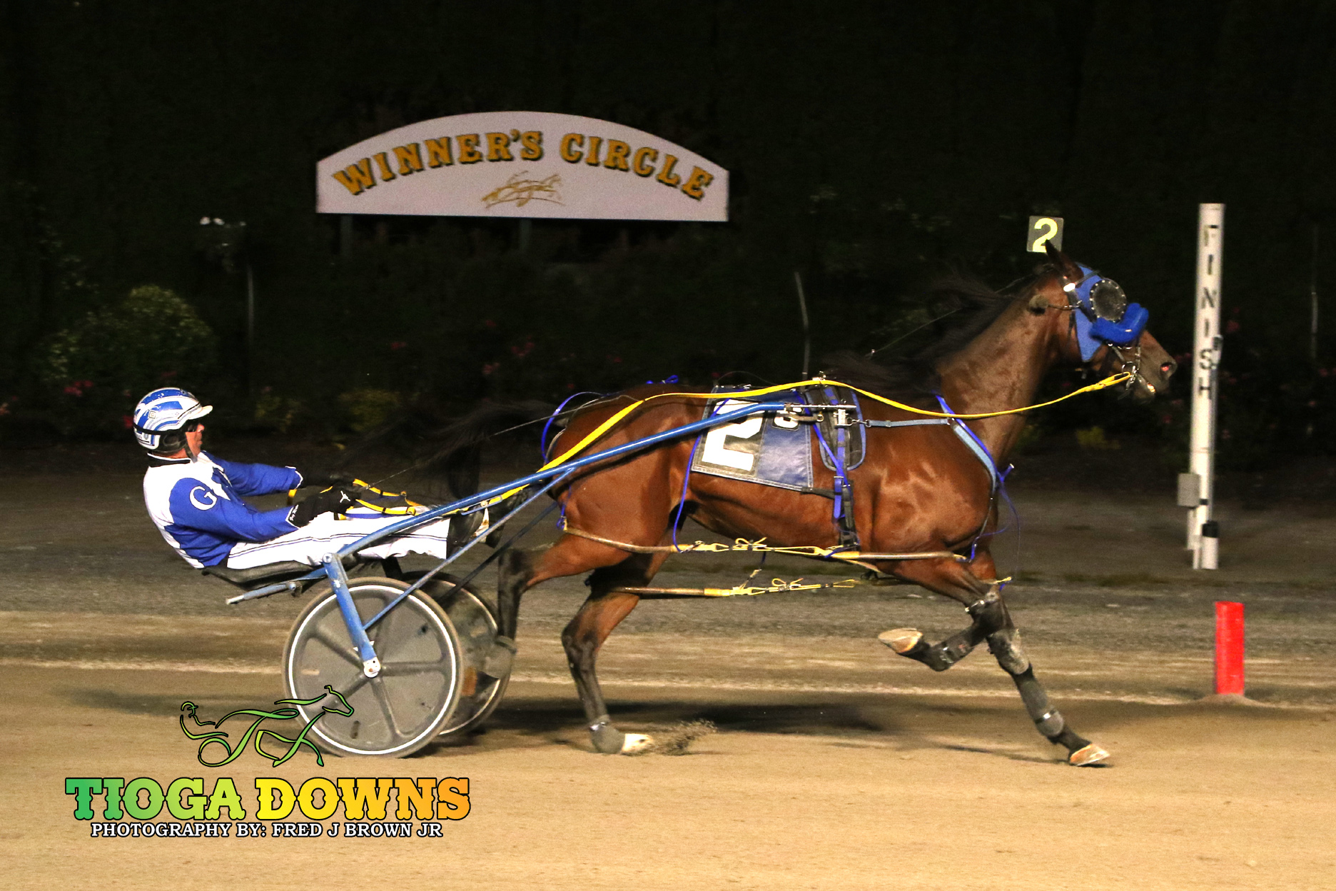 Prospectors Gold, Lady Saturn shine in twin features 1