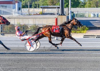 Ragtime Red Earns First Open Win
