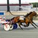 Ragtime Red reels off another win 4