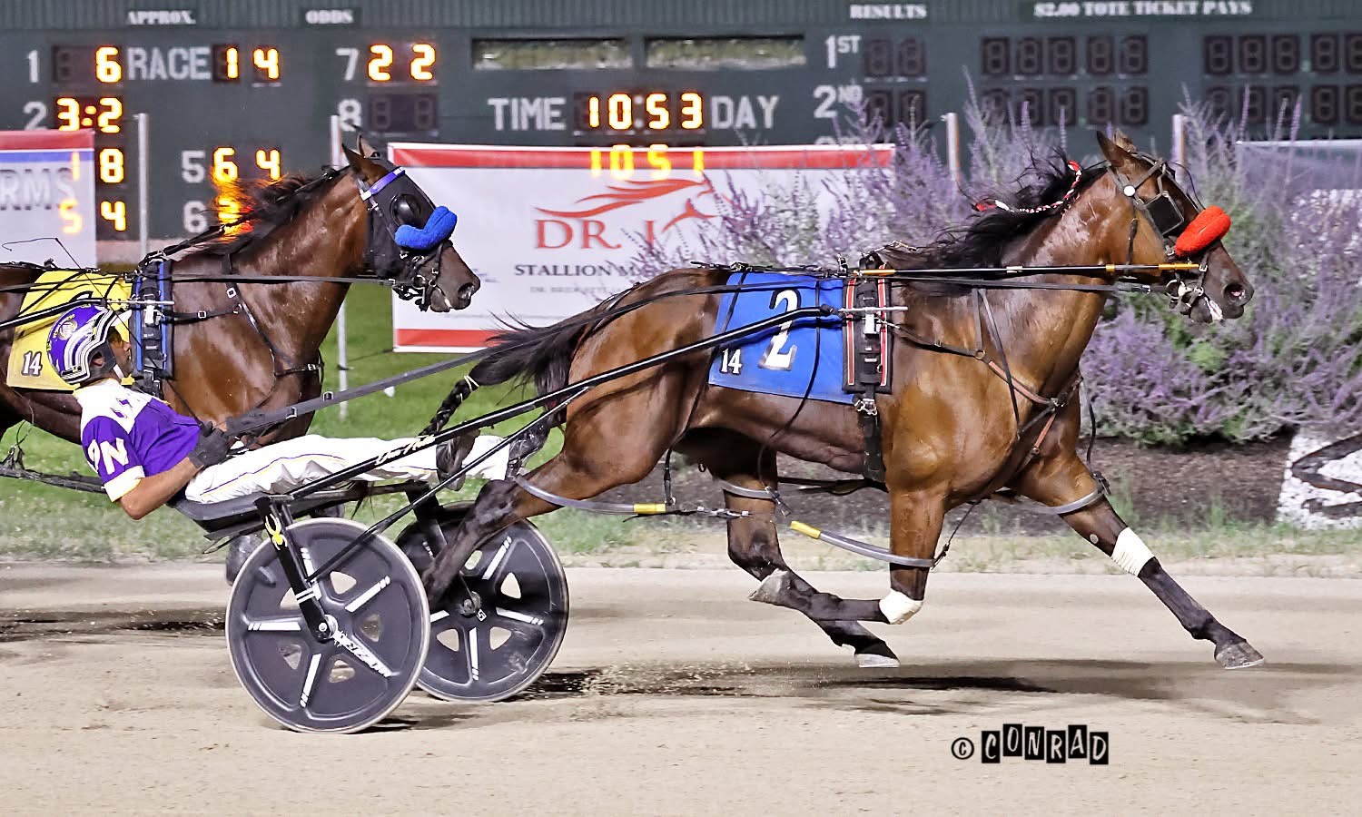 Rose Run Aimee supplements into the 55th Jugette 1