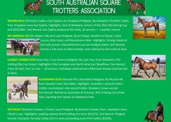 SA Square Trotters Association launches 2025 Stallion Tender