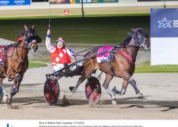 Sam Nien’s consistency rewarded in 3YO Trotters Final