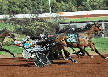 Scudo Hanover gets judges call in tight finish