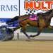 Sheetweb Weaver shocks his fancied rivals in Menangle Trotters Cup 2 Sheetweb Weaver shocks his fancied rivals in Menangle Trotters Cup