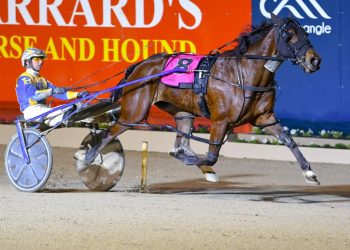 Pink Diamond winner by Warrawee Needy