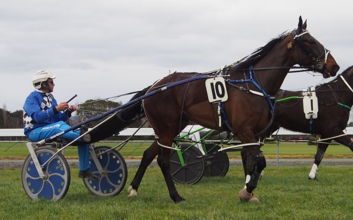 She’s Crunchy goes four from four 3