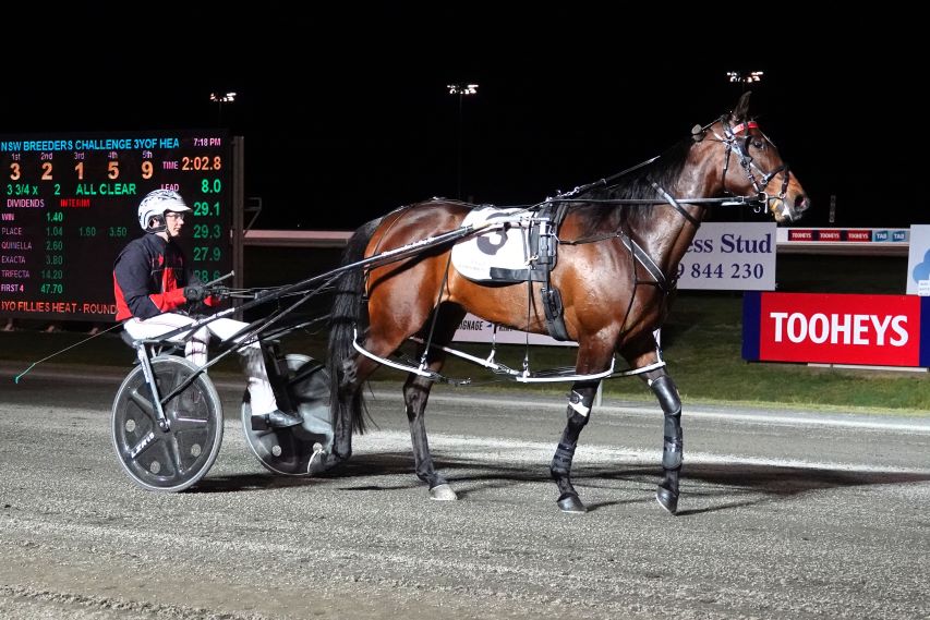 Tenaciously and Smirkin Serene prevail in Breeders Heats at Bathurst 4